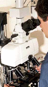 comparison microscope