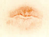 Photograph of a lip print