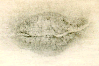 Photograph of a lip print