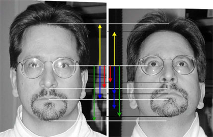 Figure 1 demonstrates that a change in pose angle (when the subject tilts his head back) results in an alteration of the distances measured between facial features.