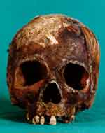Graphic showing the skull of the fourth murdered male recovered near the Izimvubu River