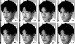 Series of eight photos (two tiers of four photos) showing superimposition of the 2D facial image of the target person and the 3D facial images of exaiminees. The average distance is shown in the lower right corner of each photo. The examinees in the eight photos are (top row, left to right) Examinees 2, 5, 9, and 12 and (bottom row, left to right) Examinees 17, 19, 22, and 25.