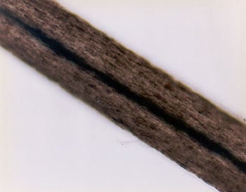 Figure 65 is a photomicrograph of continuous opaque medulla.