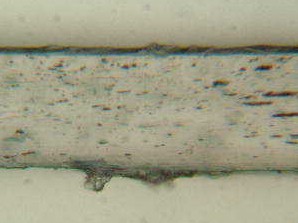 Figure 2 shows the micrograph of the cross section of tape Sample 23 magnified 250 times. The backing appears to have a single layer.