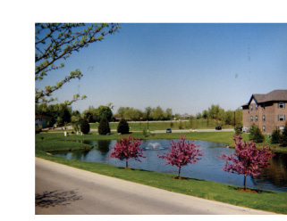 This bottom-right photo is of an office building complex and surrounding landscaping from a distance. A pond with a fountain in the middle and trees surrounding it compose the landscape.