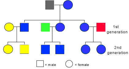 Figure 2: Maternal Inheritance