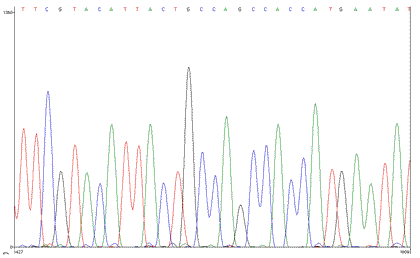 Figure 8: Chromatogram of DNA Sequence