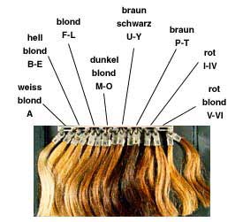 Hair color standards (Fischer and Saller)
