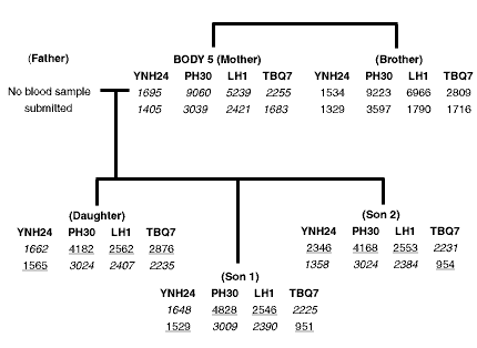 Figure 3: Family tree 3