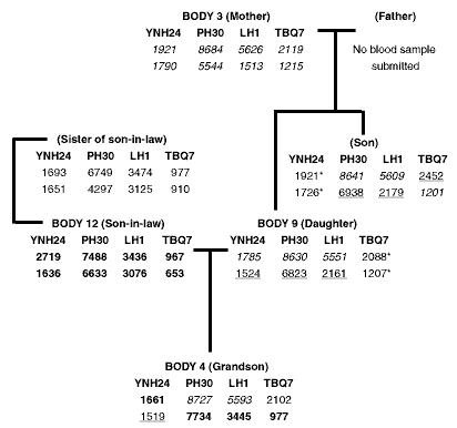 Figure 6: Family tree 6