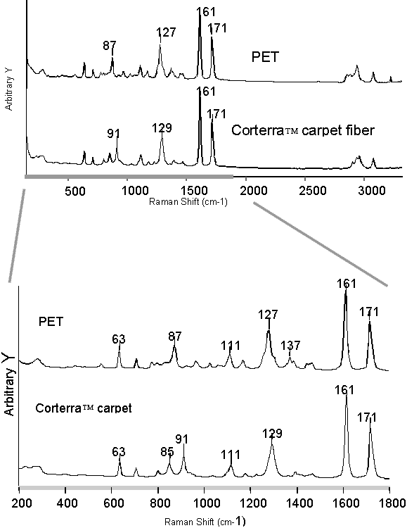 Larger Size Figure 4: Image of Raman spectra of PET and PTT