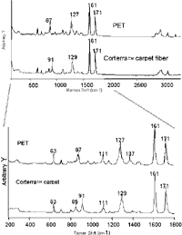 Figure 4. Raman spectra of PET and PTT.