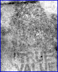 Figure 3B is a visible-absorption chemical image of a ninhydrin-treated fingerprint following multivariate statistical analysis.