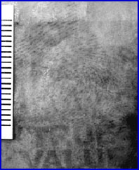 Figure 3C is a digital image of a ninhydrin-treated fingerprint following conventional digital photography and image processing.