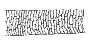 Figure 89 is a diagram of imbricate scales.
