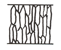 Figure 110 is a diagram of a scale pattern of elk hair.