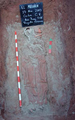 Figure 1. Photograph of Burial T-116