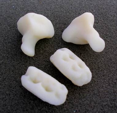 Figure 2: Photographs of the white plastic bone and chewing gum models