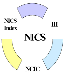 NICS Operations Report 2007: NICS Index Chart