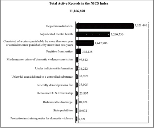 Active Records in the NICS Index