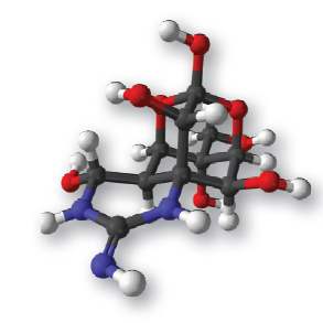 Illustration of Tetrodotoxin Molecule