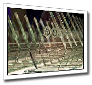 Director’s Community Leadership Awards (Angled)